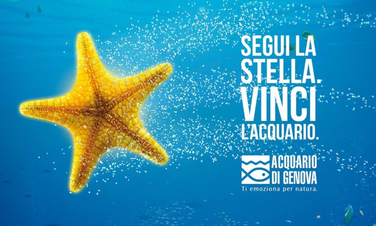 Acquario di Genova, un concorso instant win per coinvolgere il pubblico durante l’Avvento