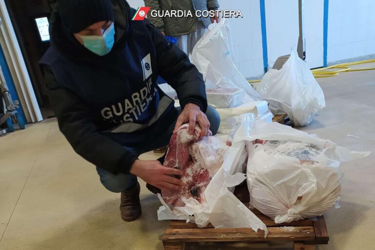 La Guardia Costiera della Liguria sequestra oltre 7 tonnellate di prodotti ittici