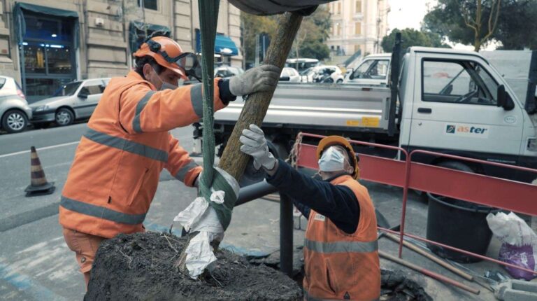 Aster: video in streaming con gli studenti sulla piantumazione e la cura degli alberi urbani