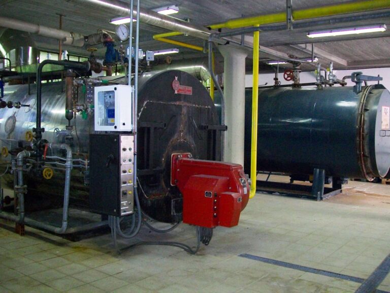 Lavanderia San Giorgio rilevata da Matteo Campodonico, salvo il posto delle 60 dipendenti