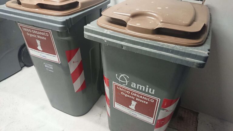 raccolta differenziata amiu organico