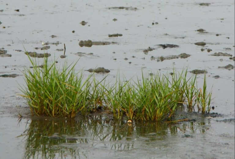 Siti abbandonati, dal ministero dell’Ambiente 23 milioni per le bonifiche in Liguria