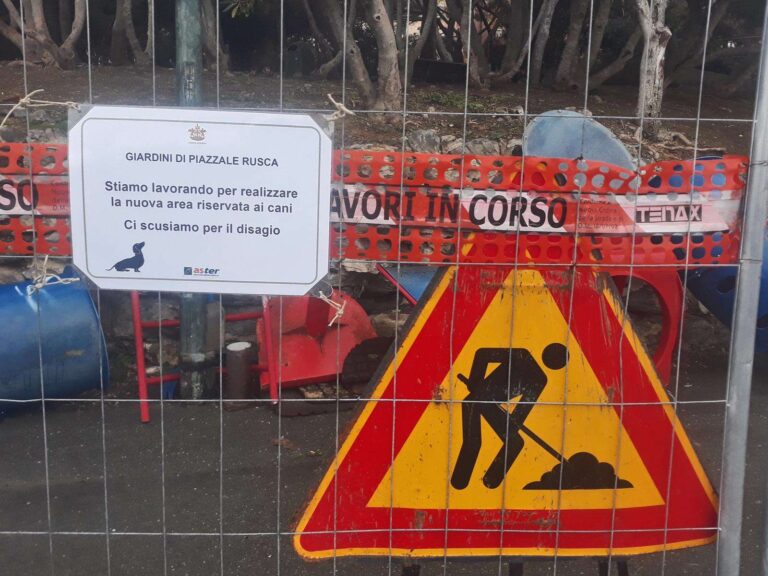 Neocos cerca contabile di cantiere