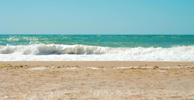 Savona, dal Priamar una spiaggia libera attrezzata con aree sportive e spazio per i cani