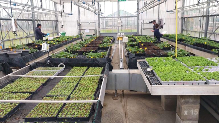 Esoneri contributivi per le filiere agricole: scadenze e opportunità