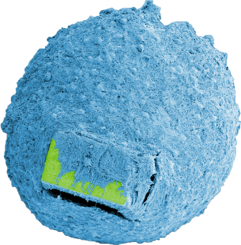 mini-organi ibridi con microchip