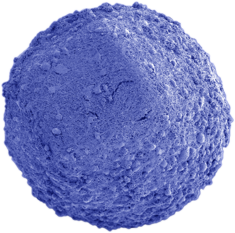 mini-organi ibridi con microchip