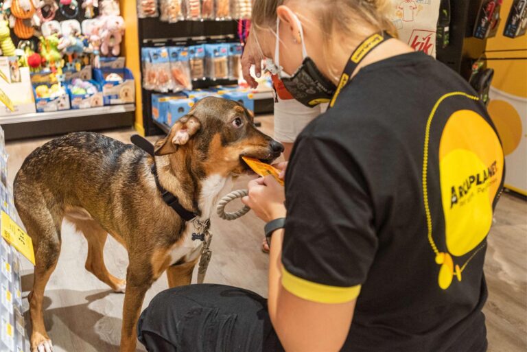 Arcaplanet: raggiunta quota 391 pet store