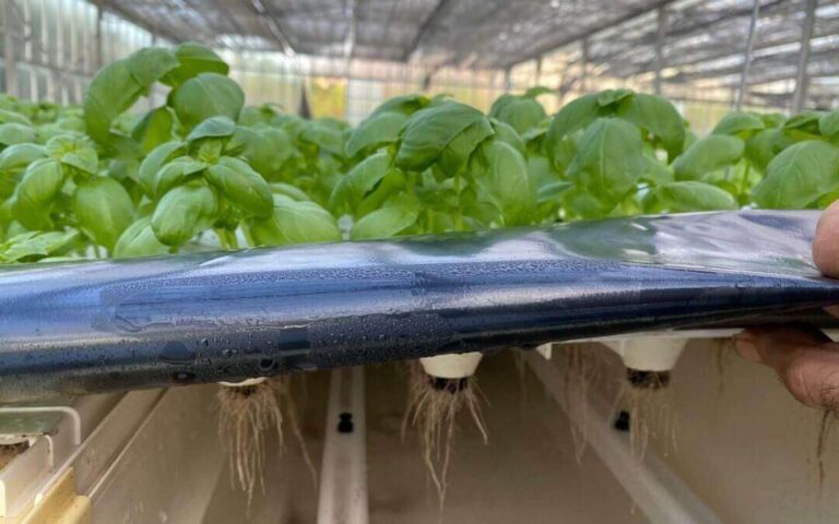 In 10 anni perse 130mila aziende in Italia, Coldiretti Liguria: “Settore agricolo in controtendenza”