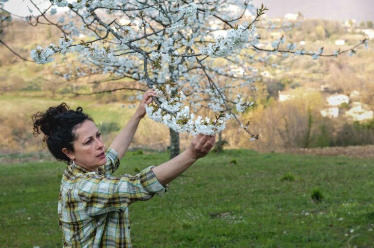 ReStartApp, aperto il bando per l’edizione 2021