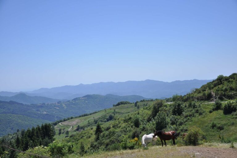 Entroterra: la Regione ripartisce 12,5 milioni tra i Gruppi di Azione Locale