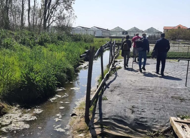 Albenga, iniziati i sopralluoghi per il piano generale di bonifica