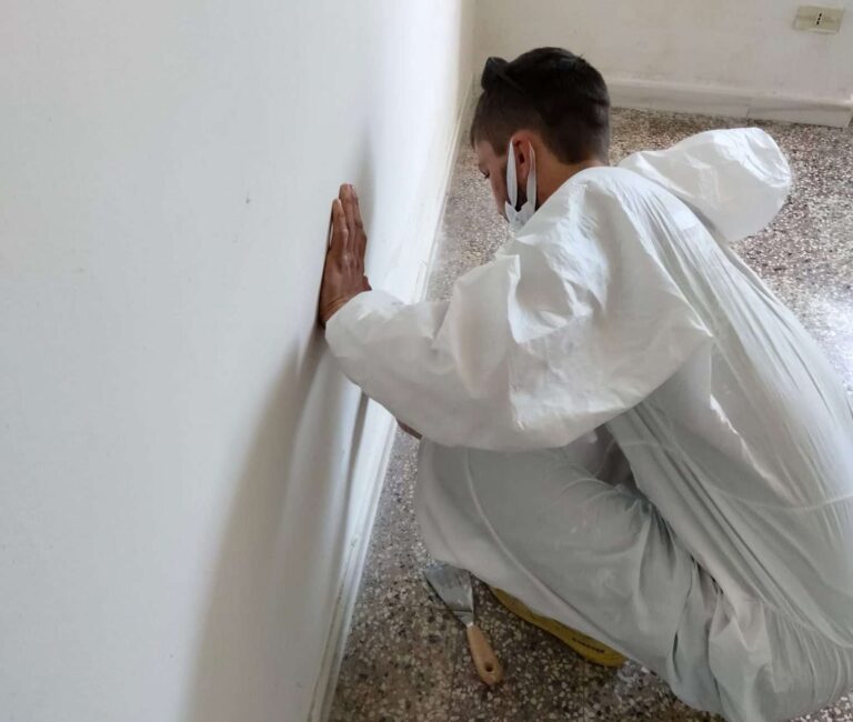 Albenga: prosegue la collaborazione tra il Comune ed Elfo l’ente di formazione professionale