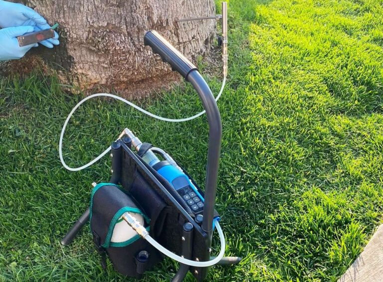 Punteruolo rosso, a Ceriale la prima applicazione nazionale di un nuovo insetticida