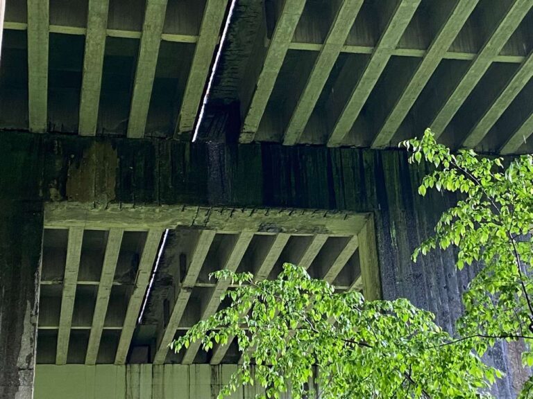 Viadotto Campodonico 3