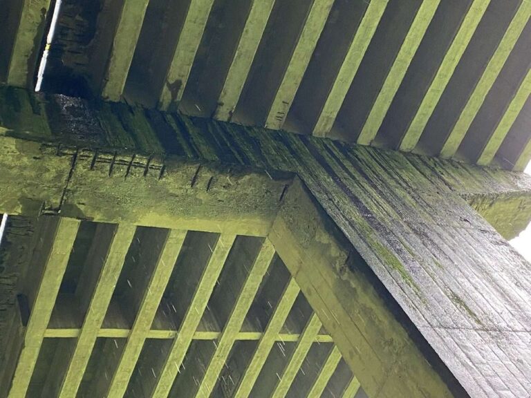 Viadotto Capodonico1