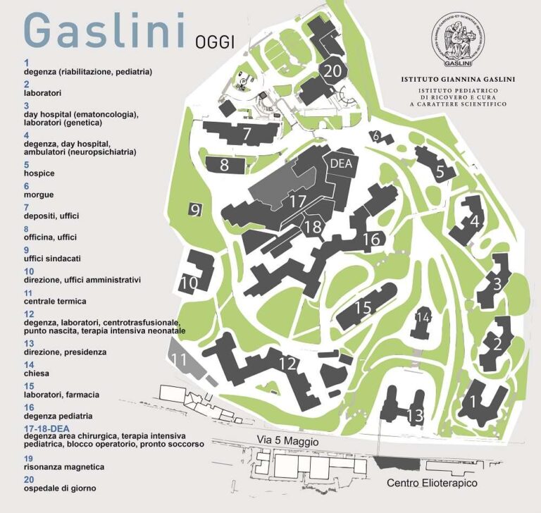 PIANTINA-GASLINI-OGGI