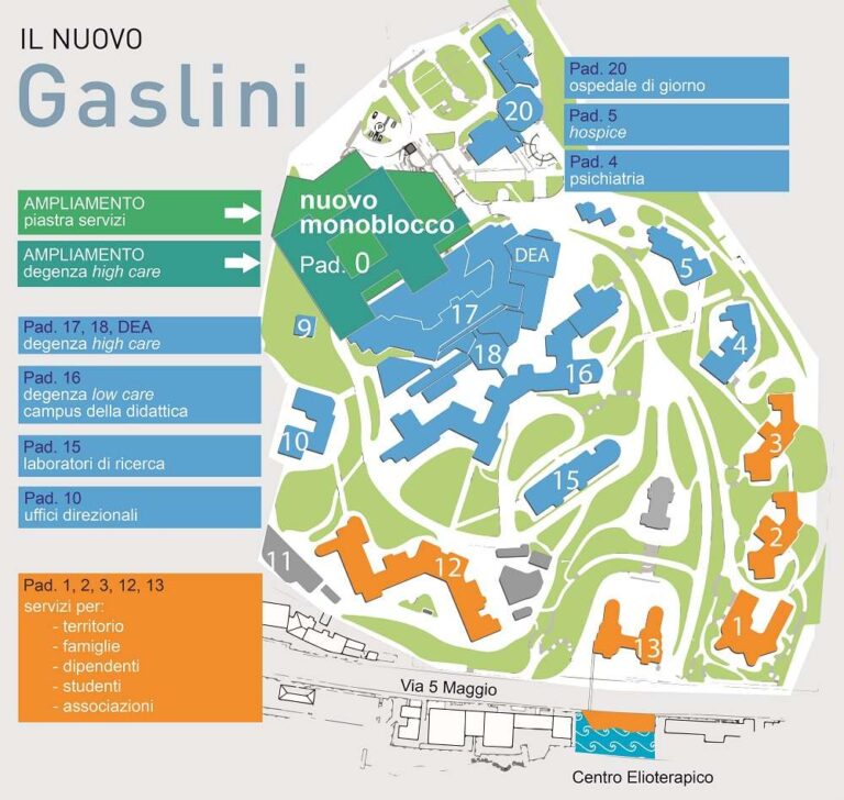 PIANTINA-NUOVO-GASLINI