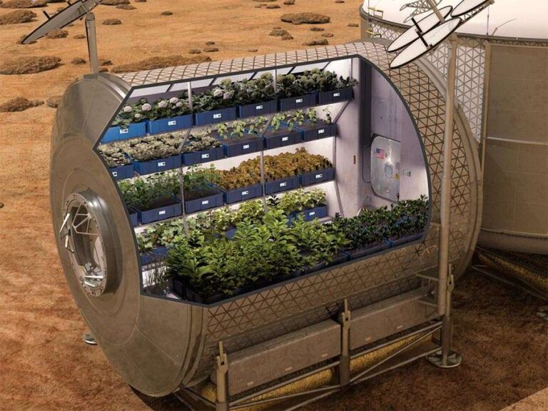 Anche le coltivazioni spaziali al Festival di Busalla (8-11 luglio)