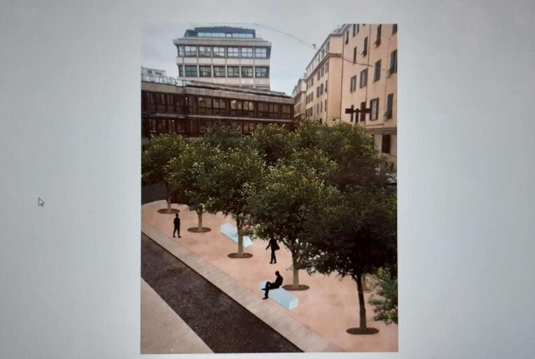 alberature piccapietra