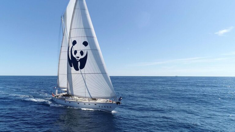 Portofino: salpa la Blue Panda del WWF per proteggere i tesori del Mediterraneo