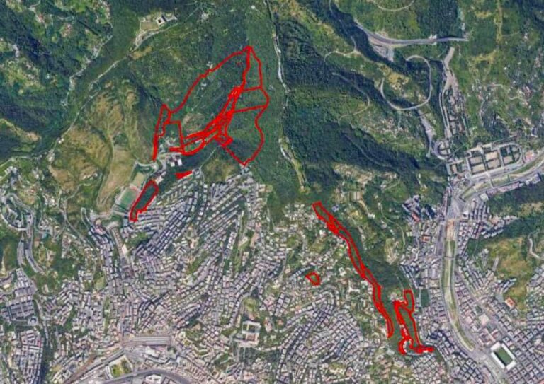 Riforestazione urbana, finanziati due progetti della Città metropolitana di Genova