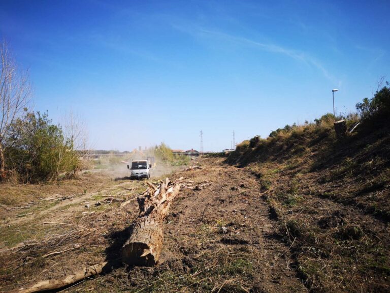 Albenga: fino al 15 agosto pulizia del Centa