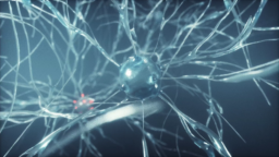 Nuova startup in casa Iit: si chiama Corticale e studierà il cervello come mai prima d’ora