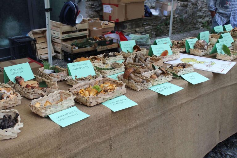 Expo Valle Arroscia, dal 30 agosto all’1 settembre i prodotti del territorio a Pieve di Teco