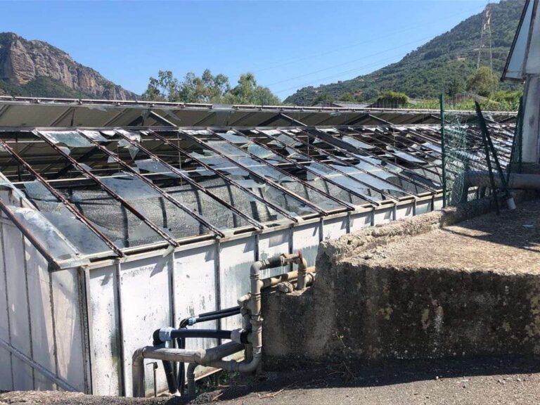 Cia Savona, “Altri Comuni seguano l’esempio di Albenga per il rilancio dell’agricoltura”