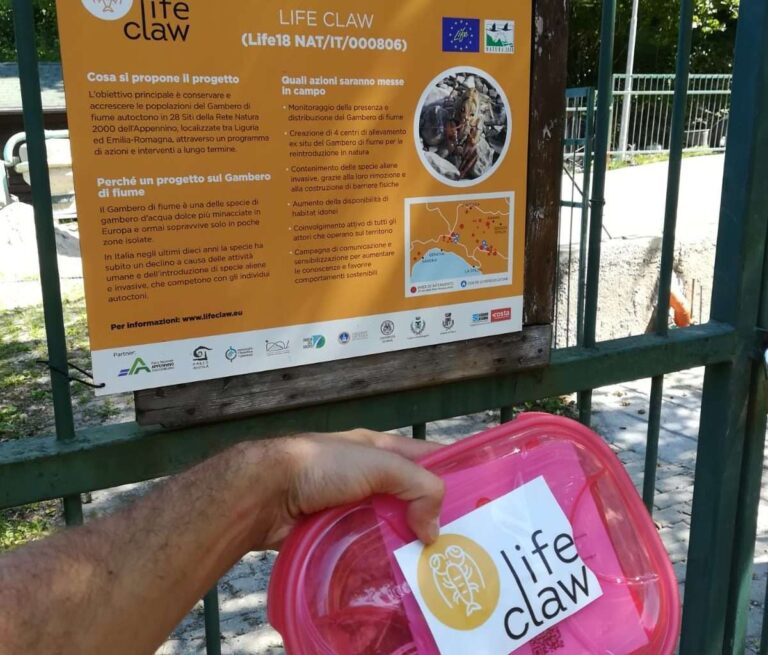 A Fontanigorda “caccia al tesoro” per la tutela dei gamberi di fiume