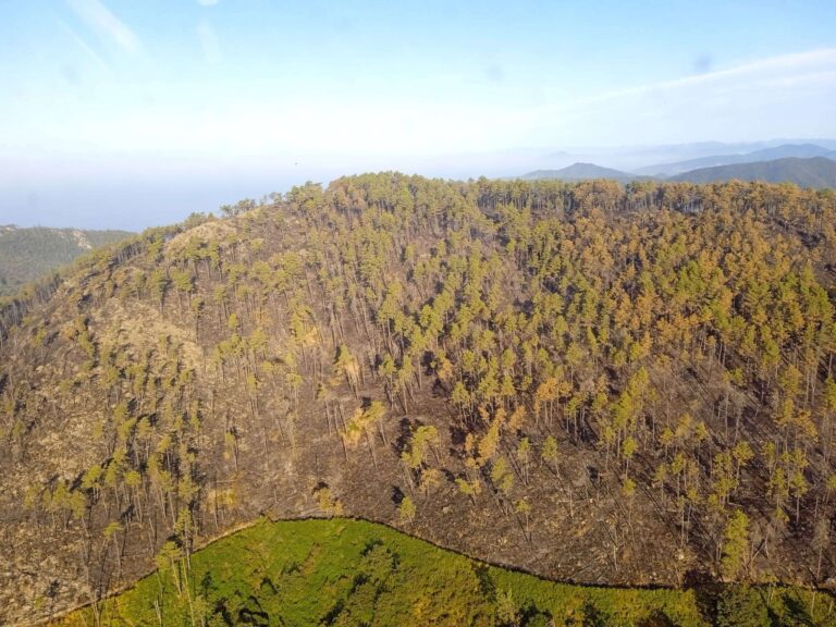 Incendio a Framura, oltre 100 ettari di bosco andati in fumo