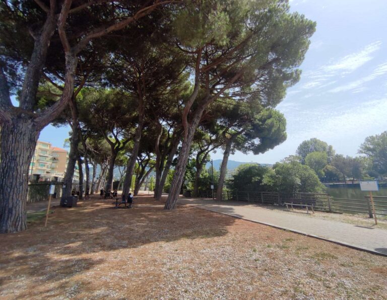 Anci Liguria: seminario sulla gestione del verde urbano l’1 febbraio