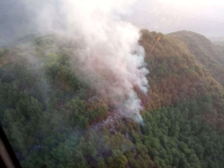 Incendi boschivi, stop allo stato di grave pericolosità dal 15 settembre