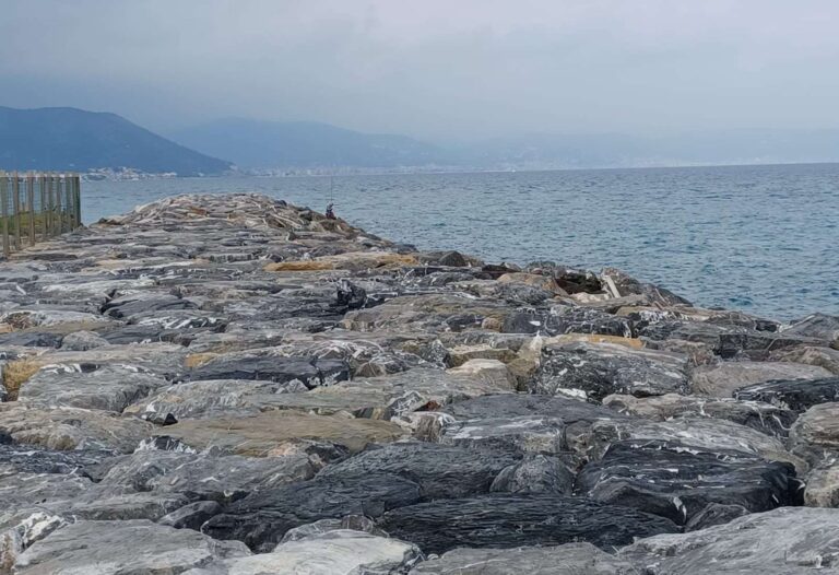 Albenga vuole un nuovo molo per la pesca e il turismo