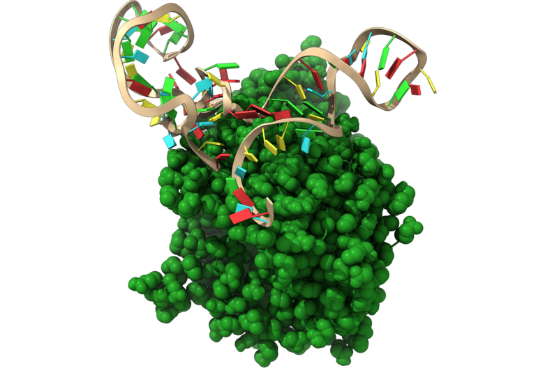 La firma dell’Iit sullo studio del farmaco che bloccherà l’ingresso al coronavirus