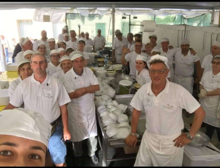 Andora, il consiglio comunale approva l’istituzione della Deco per le eccellenze locali