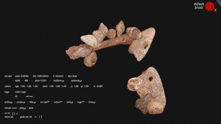 Scoperta a Erli (Albenga) la più antica sepoltura mai documentata in Europa