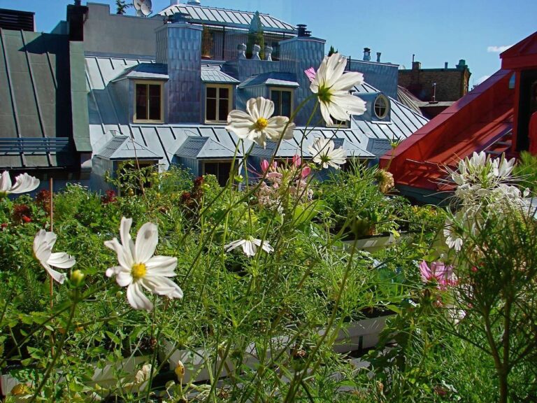 Comune della Spezia vince bando per un  tetto verde per la scuola di via Puccini