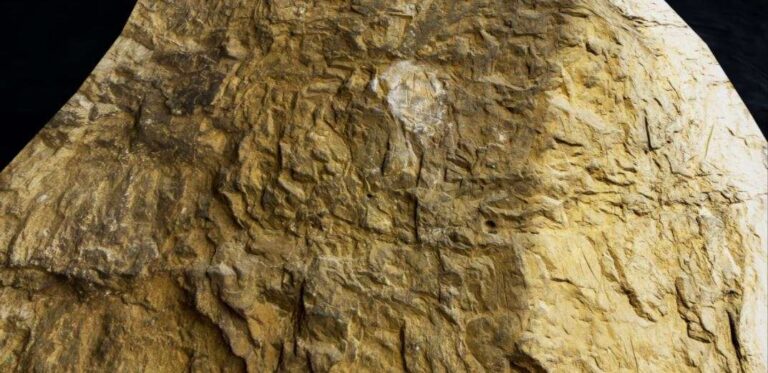 Nuova scoperta nei Balzi Rossi grazie ai droni dell’Università di Genova