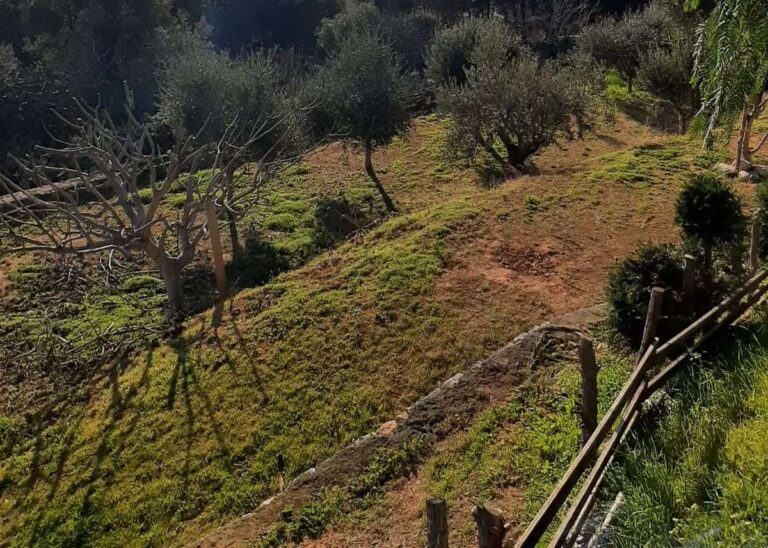 Cia Savona, “Urgente riapertura bando giovani Psr”