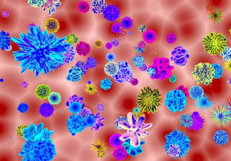 Papillomavirus: il 4 marzo è la giornata mondiale contro l’HPV