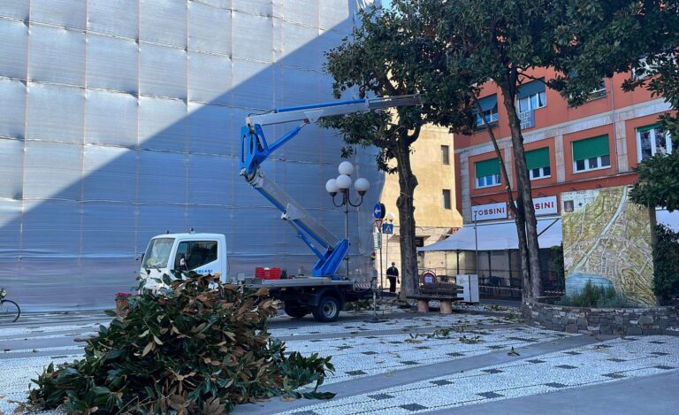 Recco, avviate le potature su 70 alberi del centro città