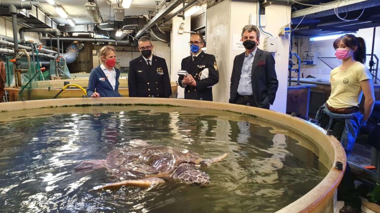 Salvaguardia della fauna marina, Guardia costiera e Acquario di Genova rinnovano l’accordo
