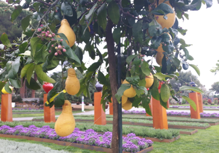 Euroflora Young estesa fino all’8 maggio, ecco tutte le promozioni in vigore