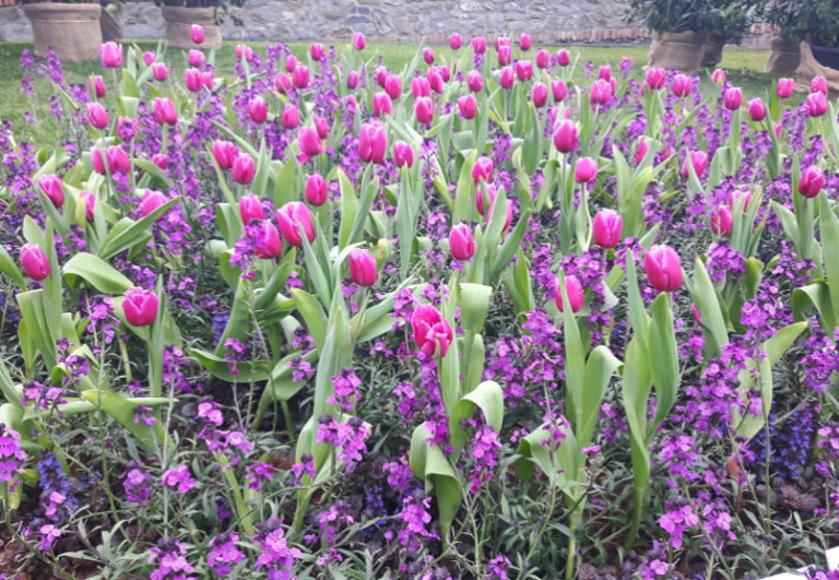 Euroflora, il programma di sabato 30 aprile