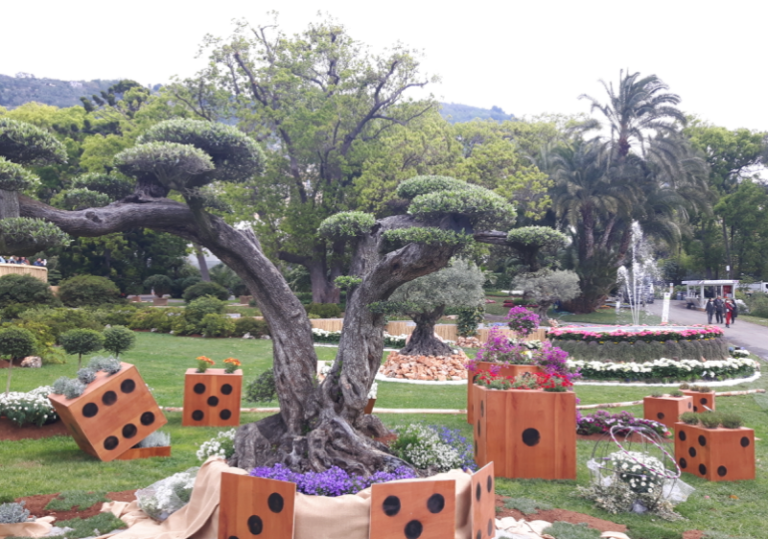 Euroflora, gli appuntamenti del 3 maggio