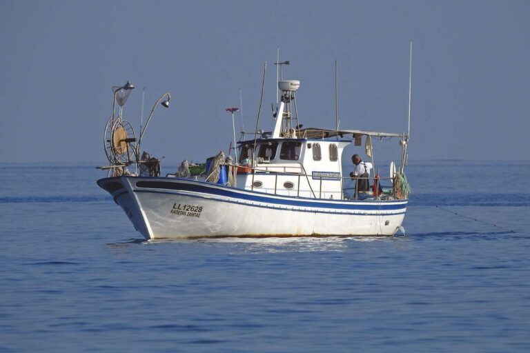 Agricoltura e pesca: accordo Bper Banca-Ismea a sostegno delle imprese del settore