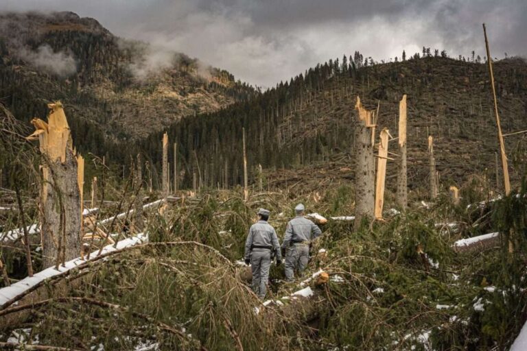 Biofilia: Genova diventa museo a cielo aperto