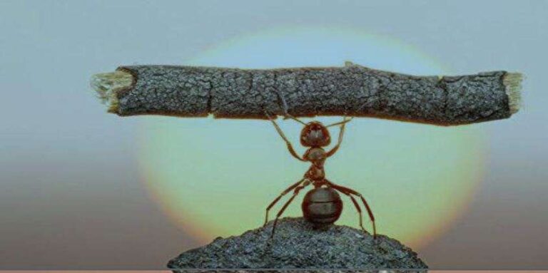 Cdo: Genova, 13 luglio, secondo appuntamento dedicato alla «business generation»